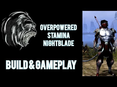 OVERPOWERED | STAMINA NIGHTBLADE | PvP Build Gameplay