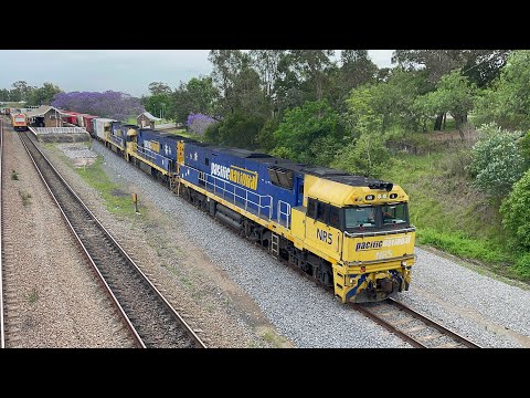 Pacific National NR5, NR54 & NR102 with 2BM4 at East Maitland - 29/10/24