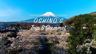 【忍野村公式】旅行＆グルメ編 ～OSHINO'S Trip & Gourmet～