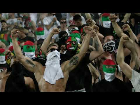 #12 Zagłębie Sosnowiec Hooligans & Ultras