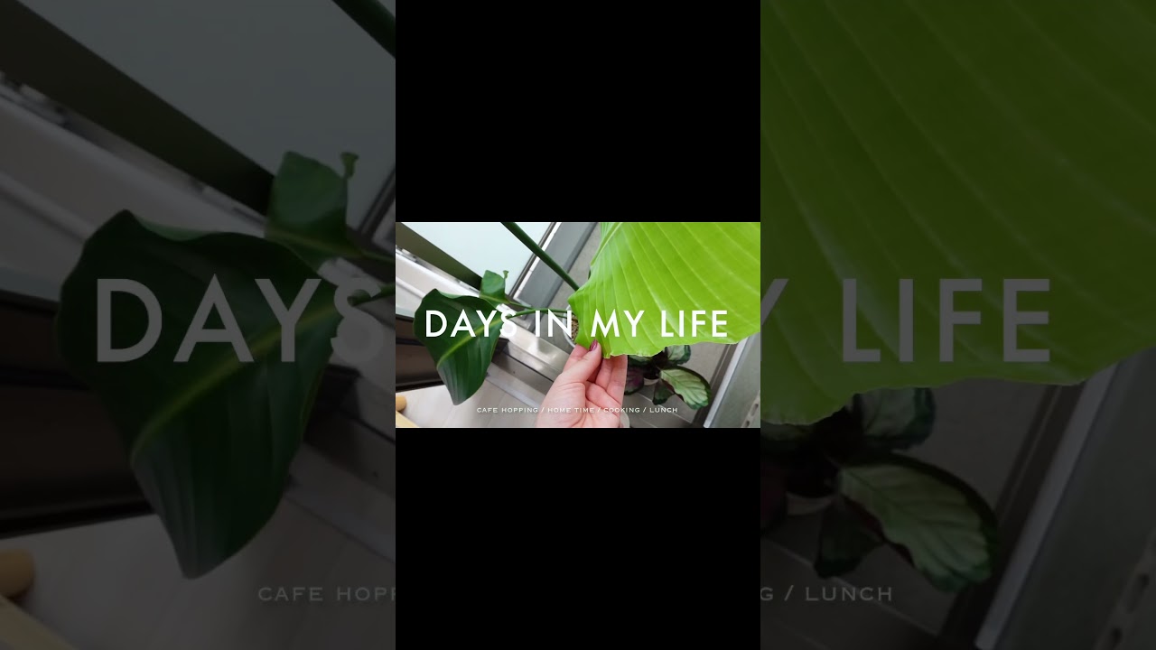 今年はもっと、日常の好きが増えますように #休日vlog #社会人 #short