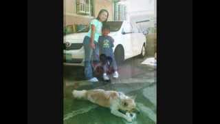 FRA LIPPO LIPPI  MOTHER LITTLE SOLDIER (Lyrics)