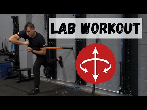 The Lab Workouts: Foundation Series - Lower Body / Hinging