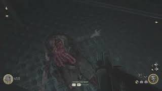 COD Nazi Zombies ( I Don't have a good title)
