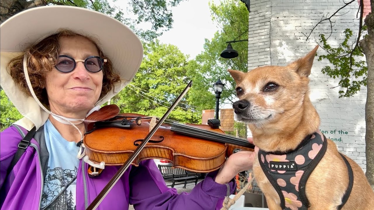 Fiddling Blue Devil Rag w the Chihuahua Devil