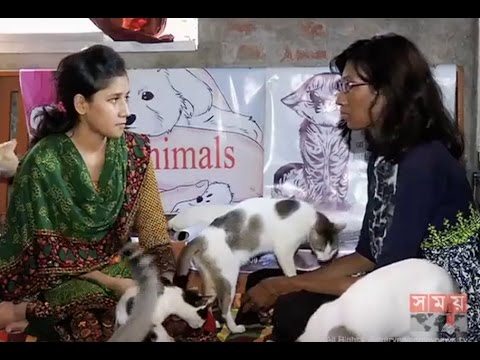 বাংলাদেশে এক অবিশ্বাস্য ব্যাপার..শখ নয়, দায়িত্ববোধ থেকে অর্ধশত বিড়াল পালন