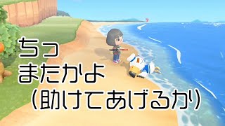 ○ヶ月ぶりのどうぶつの森