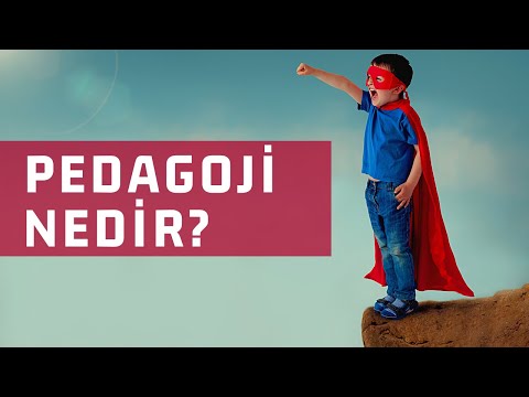 Pedagoji Nedir? | Pedagoji Okulu 143 İzleyiciler ile Soru-Cevap Özel Yayını (Özet)
