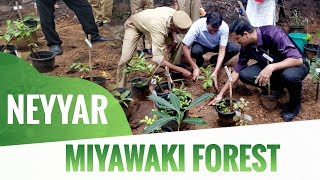 Miyawaki Forest near Neyyar Wildlife Sanctuary