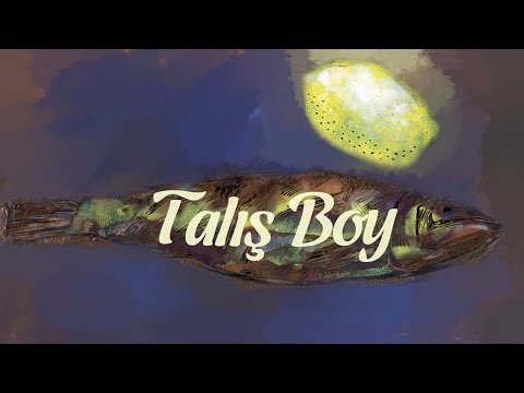 A$AP Gold - TALYSH BOY