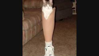 Moxy Früvous - Kick in the Ass