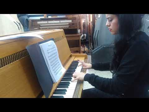 Harry Potter theme on a Real Celesta! Hedwig's theme by Argentina Durán