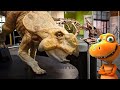 Meet Buddy From Dinosaur Train At The Springfield Museums In April 2019