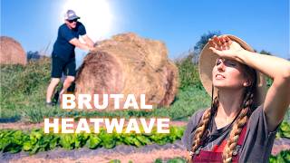Gardening in Extreme Heat | Building a Bean Trellis & Getting Rid of Squash Bugs Naturally
