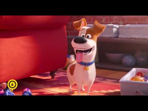 A kis kedvencek titkos élete 2 - Max - magyar nyelvű előzetes