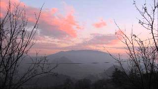 timoria   come serpenti in amore