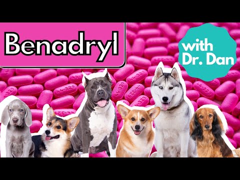 YouTube video about: Can dogs have grape flavored benadryl?