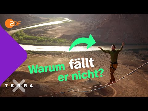 Propriozeption - dein geheimer sechster Sinn | Terra X plus