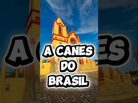 CANAVIEIRAS, A CANE BAIANA #viagem #bahia #canavieiras #naturezasurpreendente #natureza