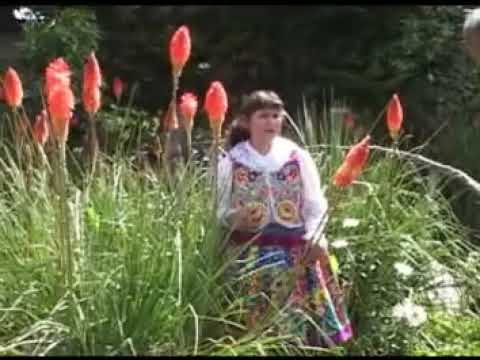 SAMANTHA ARCE   SI TU ME QUIERES - VIDEO OFICIAL