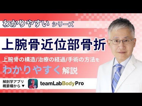 Mico 上腕骨について詳しく解説