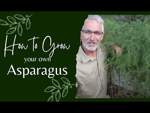 , title : 'How to Grow Asparagus'