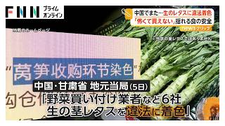 中国で「茎レタス」の“違法着色”発覚　青と黄色の食品用着色料を検出　黄ばみや傷隠しか　市民「怖くて買えない」（2026年09月07日）