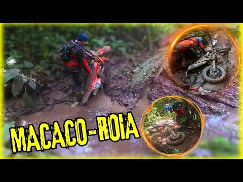 TRILHA DO 90 - EQUIPE MACACOLAMA - O FIM