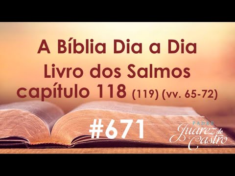Bible Course 671 - Book of Psalms 118 (119) (vv.65-72) - Praise of the Divine Law - Tet - Father ...