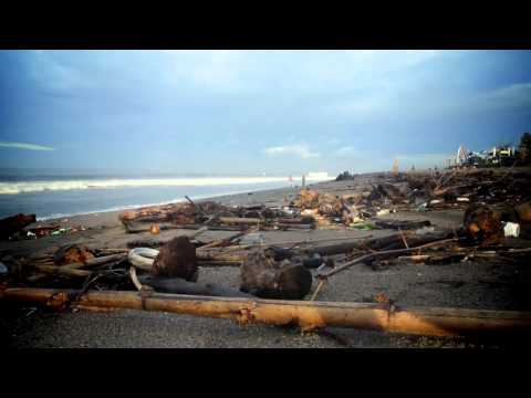 Zelená pro Indonésii