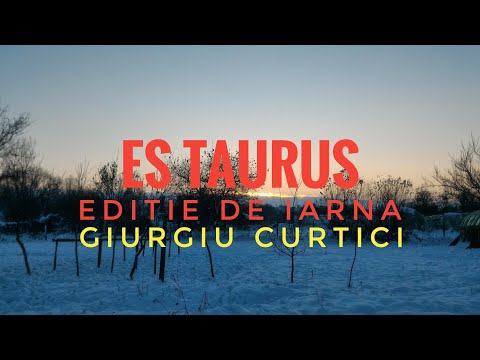 20314 Giurgiu Nord Curtici