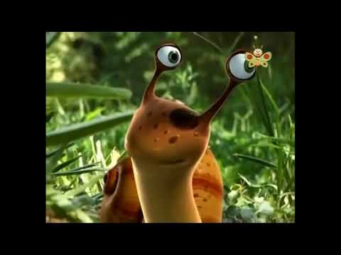 BabyTV Mr Snail Grasshopper Sr Caracol Portuguese