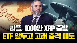 리플, 1000만 XRP 증발…ETF 앞두고 고래 충격 매도