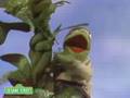 Sesame Street Jack The Beanstalk Kermit News