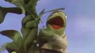 Sesame Street: Jack &amp; The Beanstalk | Kermit News