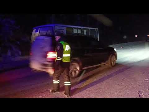 Подорожник воткнулся в автобус и убил 71-летнего пилота