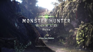 1 MHW