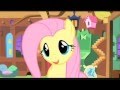 My Little Mamma Mia-Honey, Honey 