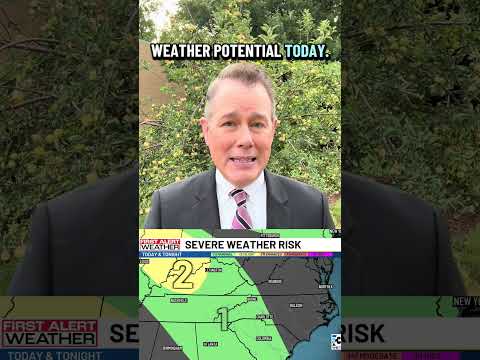 Wdel Snowatch