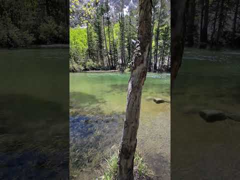 Fantastic River Fishing Spot in Sierra Navadas! Beautiful! #river #nature #fishing #travel #short