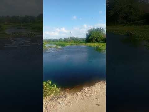 são Luís do curu