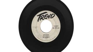 THE BLUEBELLS "SHAKEY" & "SQUEEGIE"