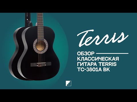 Обзор классической гитары Terris TC-3801A