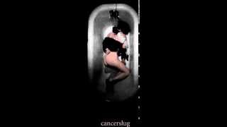 Cancerslug - Cat In The Brain