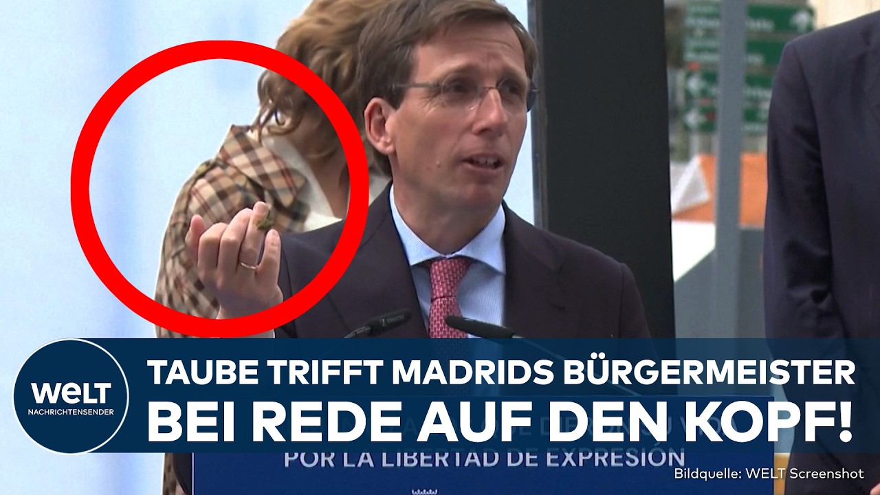 TAUBEN-ATTACKE IN MADRID: Bürgermeister bei Rede über Meinungsfreiheit am Kopf getroffen!
