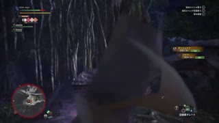 ［モンスターハンターワールドβ版］初心者まったり生配信！