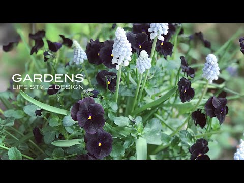 jardin-d'hiver-pots-fleurs-coin-detente