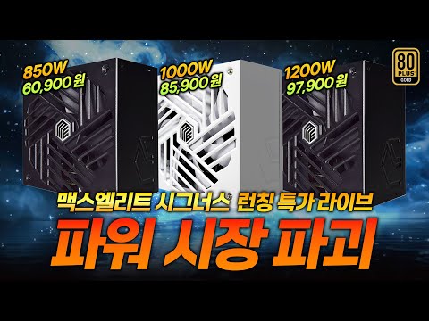 맥스엘리트 '스타즈 시그너스' 런칭 특가