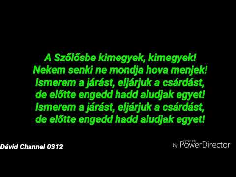 HORVÁTH TAMÁS- A SZŐLŐSBE (DALSZÖVEG)