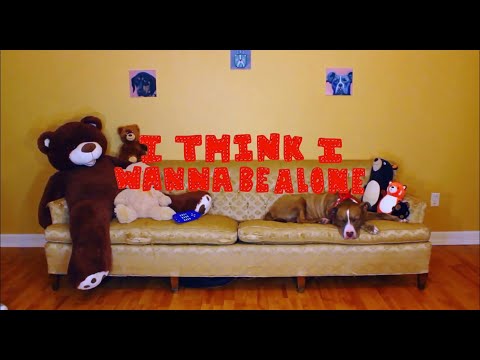 mazie - i think i wanna be alone (official video)